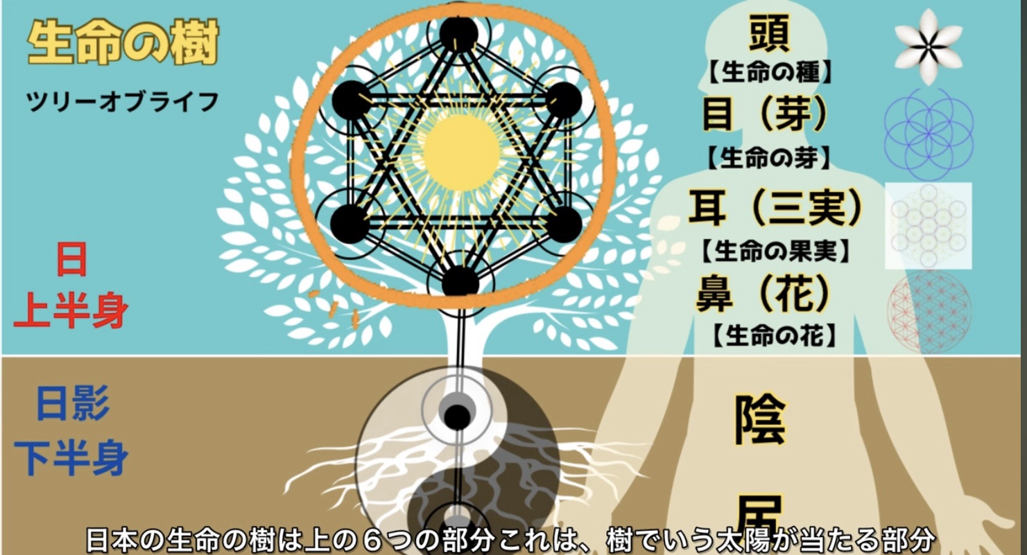 古事記の生命の樹 - なちゅろぱすラボ